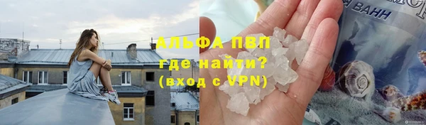 спиды Надым