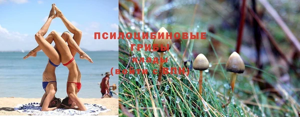 спиды Надым