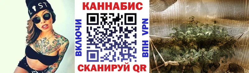 где купить наркотик  Брюховецкая  Канабис OG Kush 